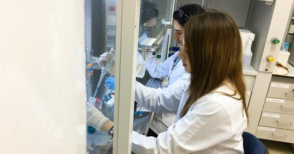 EMU Dr. Fazıl Küçük Medicine Faculty Opens a Cell Culture Research Laboratory